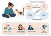 Higher cat oxytocin linked to lower owner cortisol and negative mood. Image credit: Takagi et al., doi: 10.1016/j.isci.2026.117934.