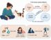 Higher cat oxytocin linked to lower owner cortisol and negative mood. Image credit: Takagi et al., doi: 10.1016/j.isci.2026.117934.