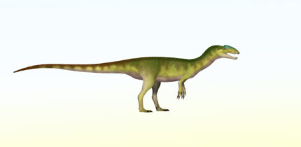 An artist’s impression of Sarcosaurus. Image credit: TotalDino / CC BY 4.0.