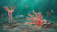 An artist’s impression of Yujingia glutenotunica. Image credit: He et al., doi: 10.1016/j.cub.2026.08.053.
