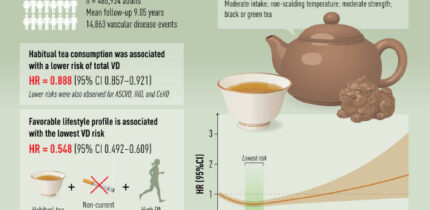 Ye et al. found an 11% lower risk of vascular disease among regular tea drinkers. Image credit: Ye et al., doi: 10.1111/joim.70172.