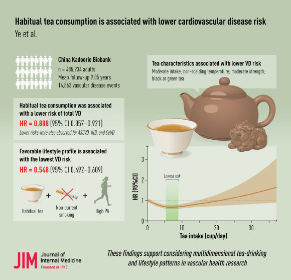 Tea Drinkers May Have Fewer Heart and Blood Vessel Problems, Large Study Finds
