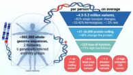The average human genome contains 4.3-5.3 million variants, of which 1.5% are rare. Image credit: Wright et al., doi: 10.1186/s13073-026-01792-x.