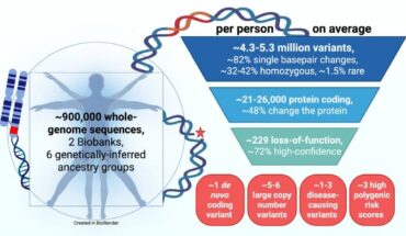 The average human genome contains 4.3-5.3 million variants, of which 1.5% are rare. Image credit: Wright et al., doi: 10.1186/s13073-026-01792-x.