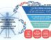 The average human genome contains 4.3-5.3 million variants, of which 1.5% are rare. Image credit: Wright et al., doi: 10.1186/s13073-026-01792-x.