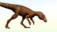 An artistic representation of the CAPPA/UFSM 0539 herrerasaurid dinosaur in life. Image credit: Johnny Pauly V. Mingau.