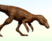 An artistic representation of the CAPPA/UFSM 0539 herrerasaurid dinosaur in life. Image credit: Johnny Pauly V. Mingau.