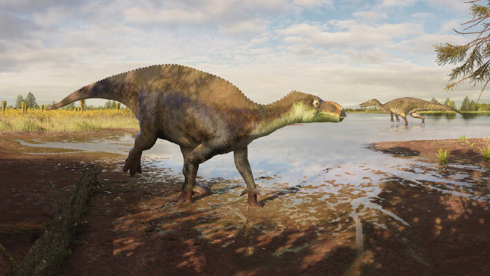 Life reconstruction of the iguanodontian dinosaur Paludohadros proudlovii; in the distance, the large predatory dinosaur Baryonyx walkeri can be seen. Image credit: Guilherme Gehr.