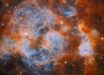 This Webb shows N159, a star-forming region within the Large Magellanic Cloud. Image credit: NASA / ESA / CSA / Webb / E. Sabbi / M. Zamani, ESA & Webb / M.H. Özsaraç.