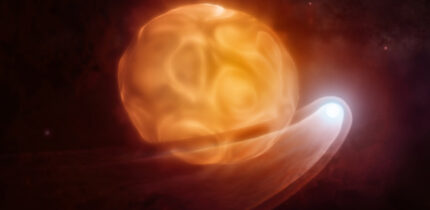 This artist’s illustration shows the smaller, hotter companion star Siwarha creating a wake-like disruption in Betelgeuse’s outer atmosphere as it orbits directly through it. Image credit: NSF / AUI / NRAO / M. Weiss.