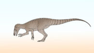 Life reconstruction of Rinconraptor pipoae. Image credit: Connor Ashbridge / CC BY 4.0.