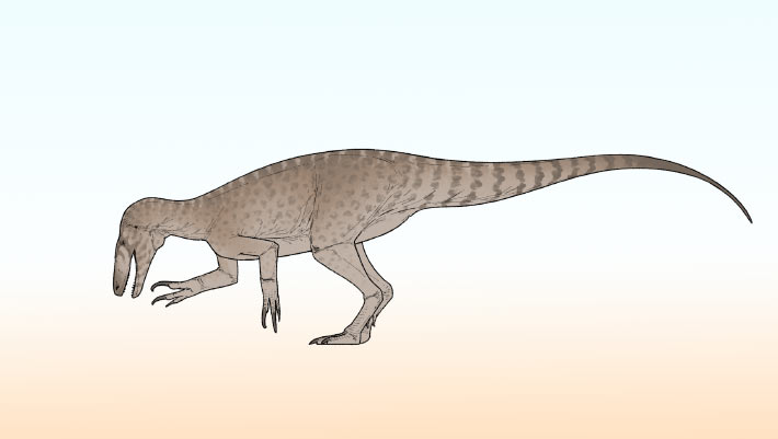 New Species of Predatory Dinosaur Identified in Argentina
