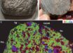 The largest fragment of the Martian meteorite Teghaza 001. Image credit: Liu et al., doi: 10.1126/science.adz5646.