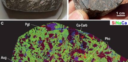 The largest fragment of the Martian meteorite Teghaza 001. Image credit: Liu et al., doi: 10.1126/science.adz5646.
