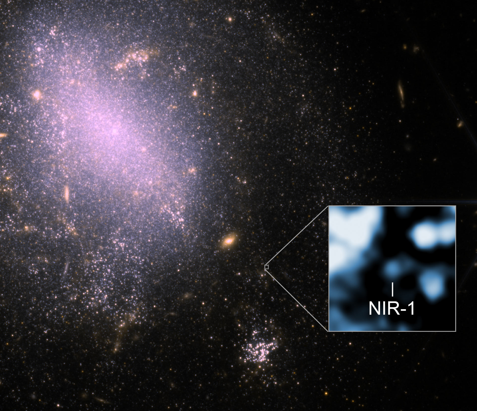 MICRO NASA ミクロナサ qsCtJ4A9gZkehPHdvZrSDD-1200-80.jpg