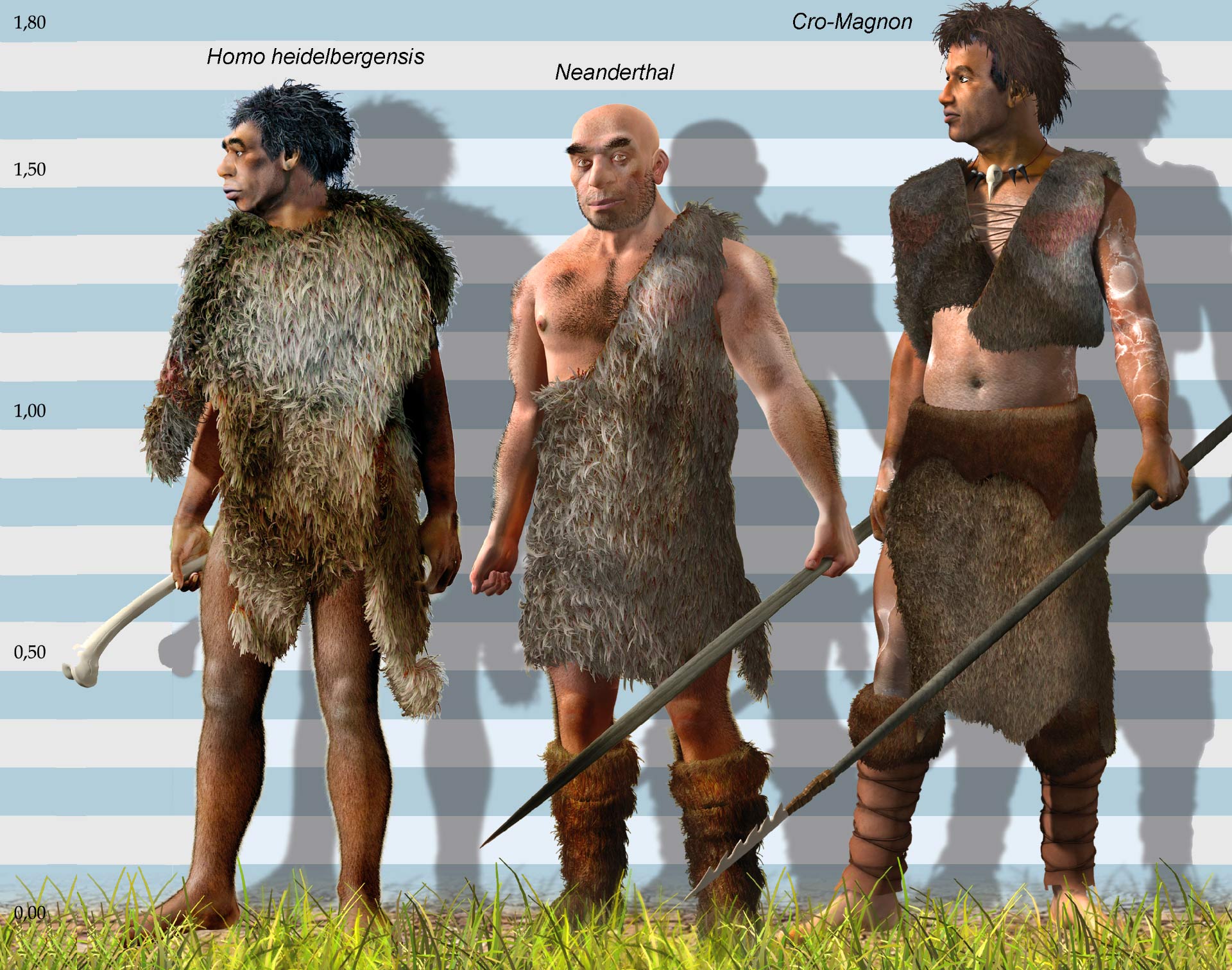 Mobile Eyebrows Played Important Role In Human Survival Research Mobile Eyebrows Played Important Role In Human Survival Research
