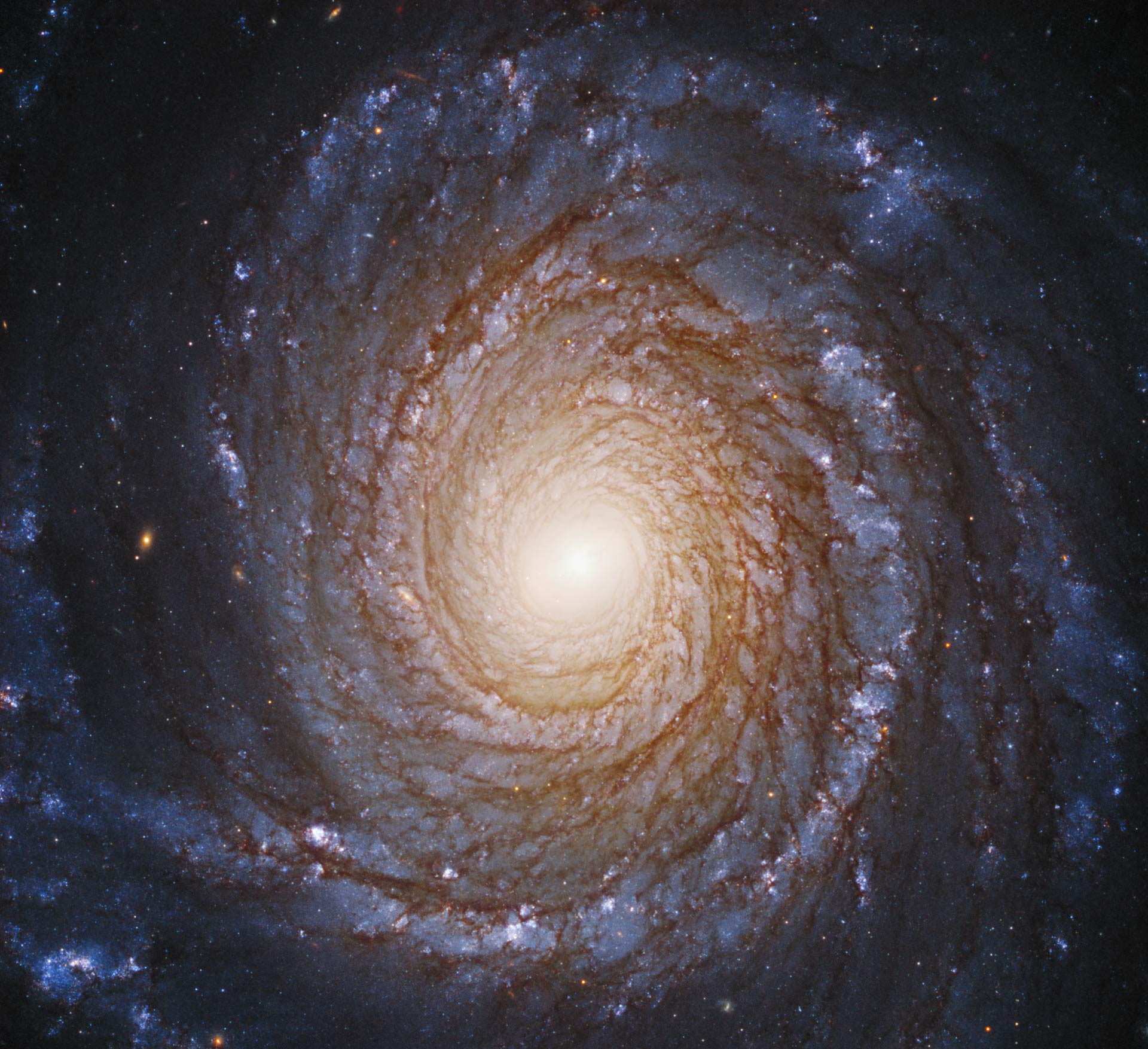 The Spiral Galaxies Universe The Spiral Galaxies Universe